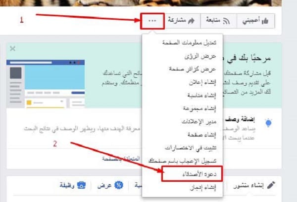 كيفية عمل صفحة على الفيس بوك جديدة لأول مرة والترويج لها