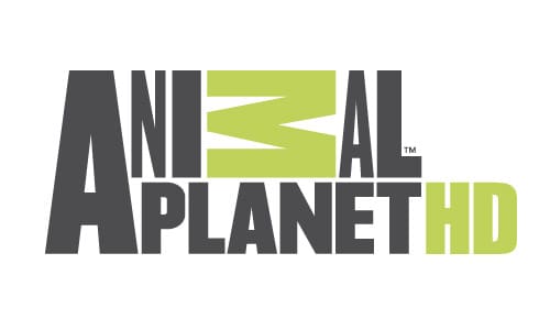 تردد قناة animal planet