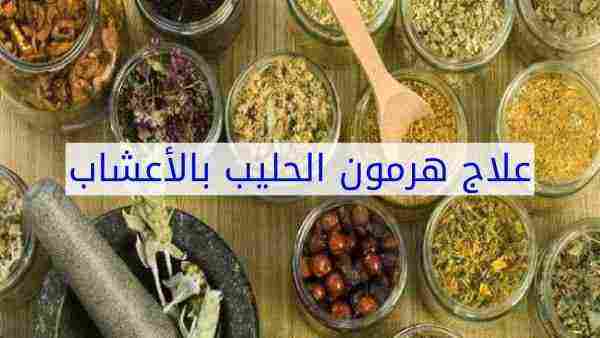 علاج ارتفاع هرمون الحليب بالأعشاب