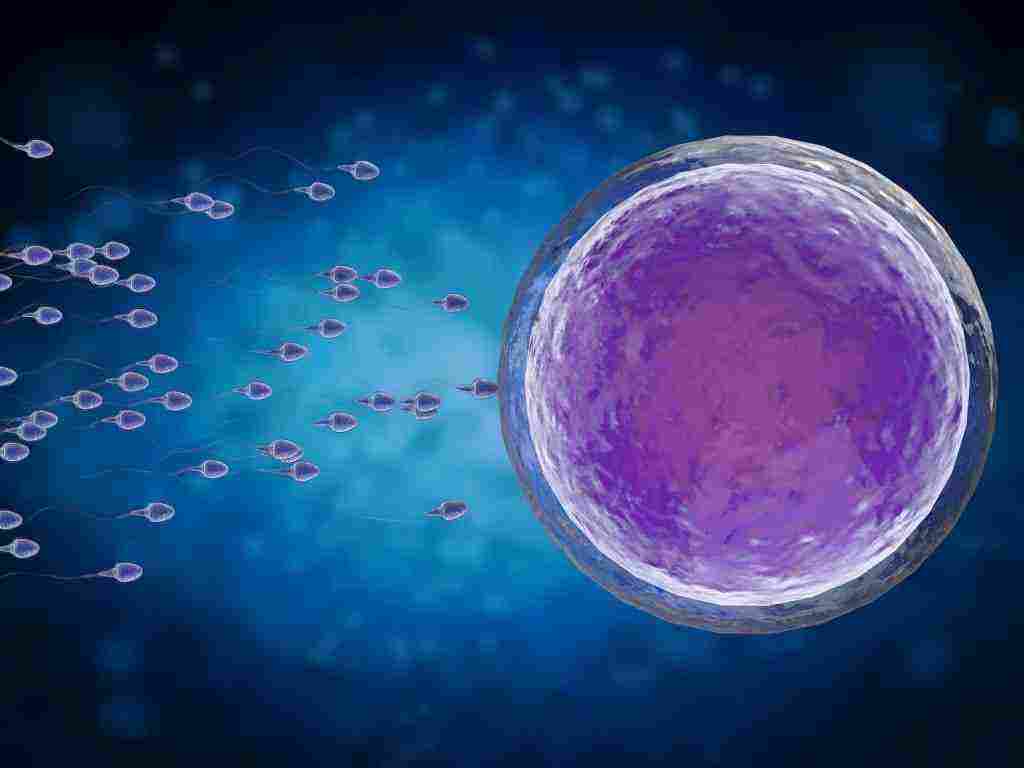 الخدمات المقدمة من دكتور امراض الذكورة