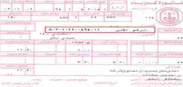 الاستعلام عن فاتورة الكهرباء مصر الوسطى