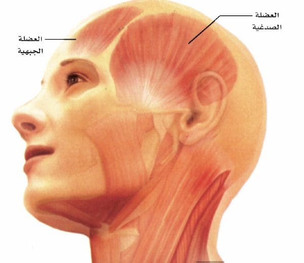 أماكن الصداع في الرأس بالصور