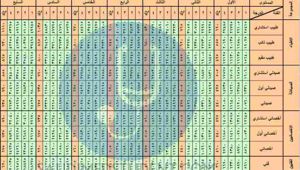 راتب الدكتور الجامعي في السعودية مع البدلات