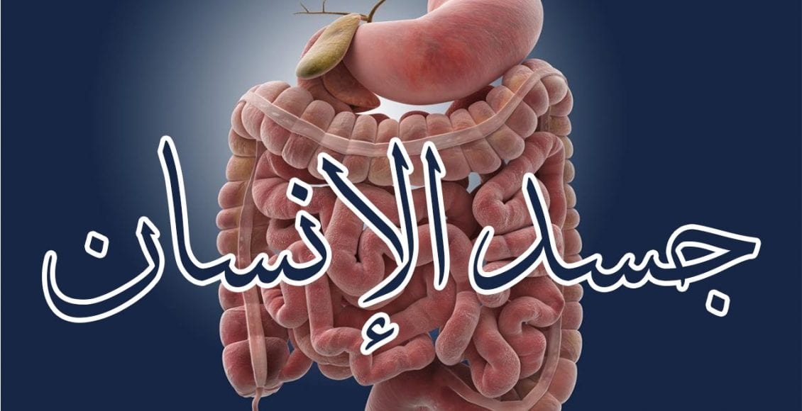 معلومات غريبة عن الإنسان