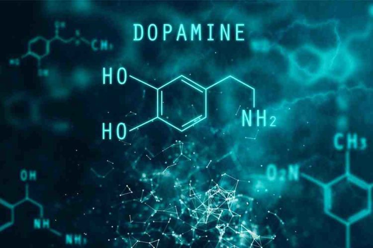 علاج نقص الدوبامين بالاعشاب