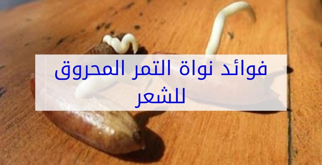 فوائد نواة التمر للشعر