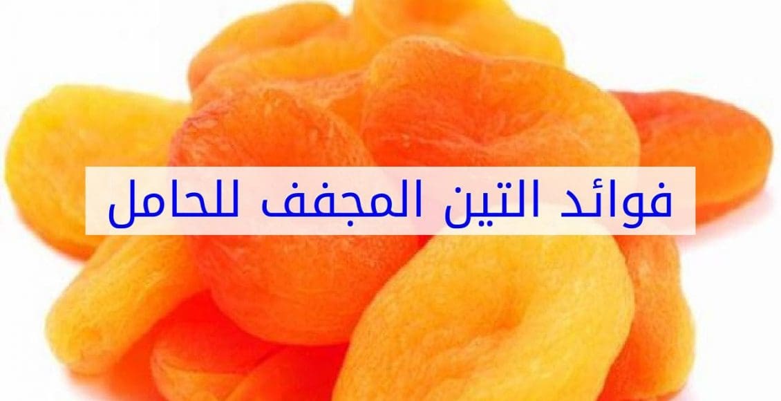 فوائد التين المجفف للحامل