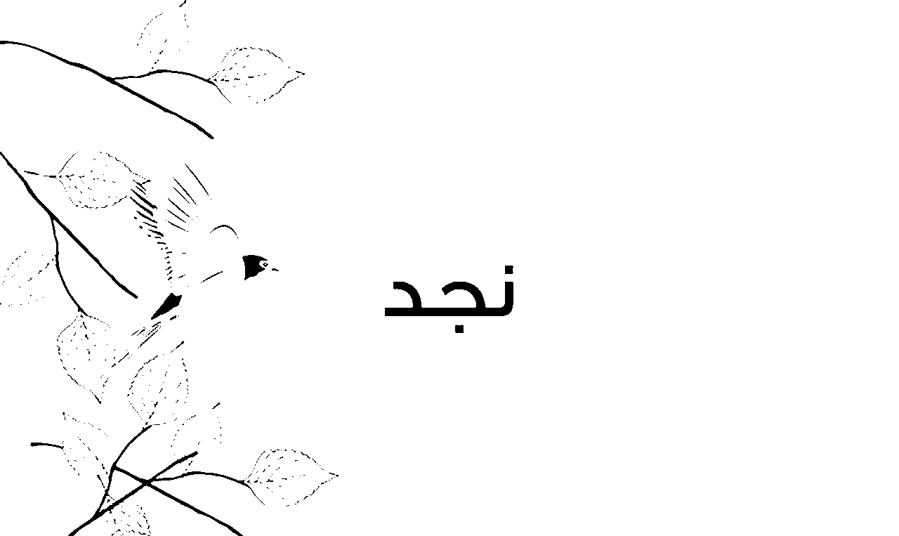 معنى اسم نجد