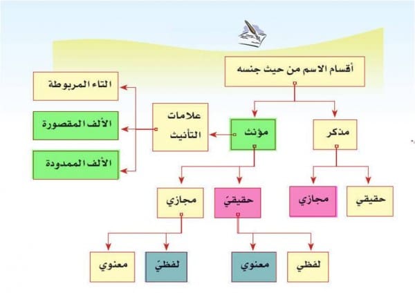 ينقسم الاسم من حيث جنسه إلى