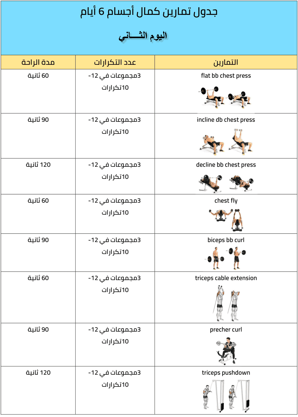 جدول تمارين كمال الأجسام 6 أيام والأخطاء الشائعة