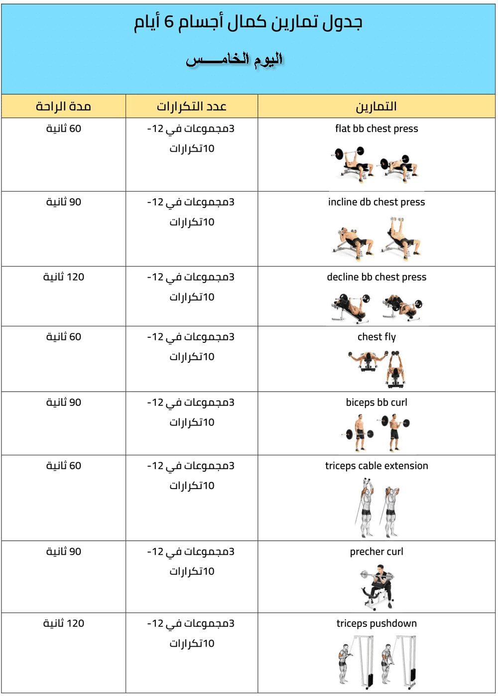 جدول تمارين كمال الأجسام 6 أيام والأخطاء الشائعة