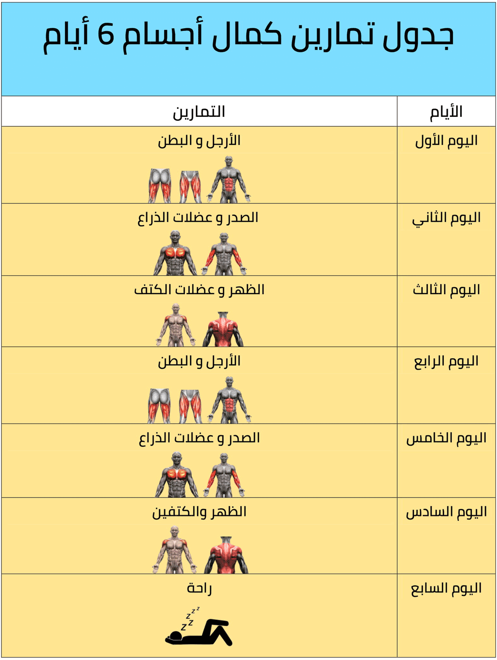 جدول تمارين كمال الأجسام 6 أيام والأخطاء الشائعة