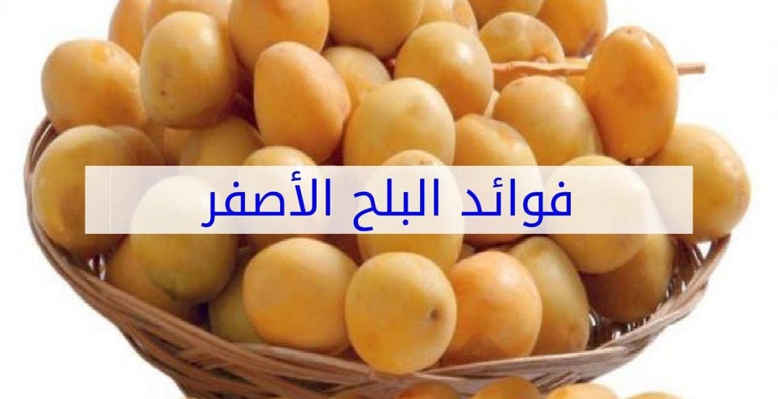 فوائد البلح الأصفر