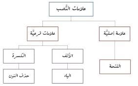 ما هي ادوات النصب