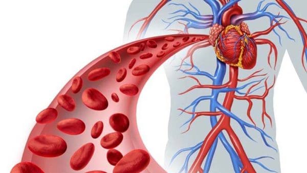 كم تستغرق مدة علاج الأنيميا