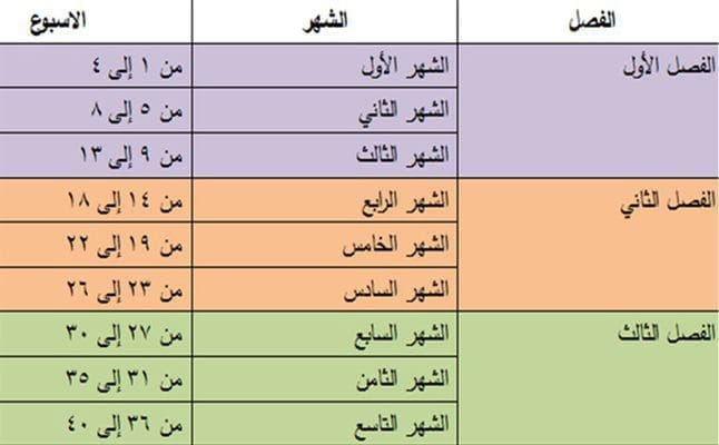 حساب الحمل من يوم التعشيش