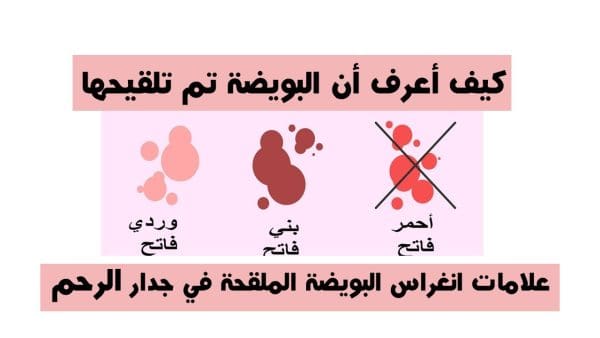 حساب الحمل من يوم التعشيش