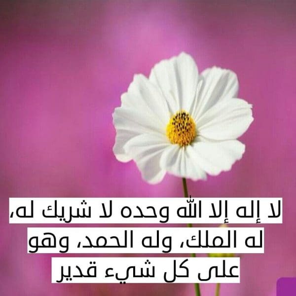 عجائب لا إله إلا الله وحده لا شريك له