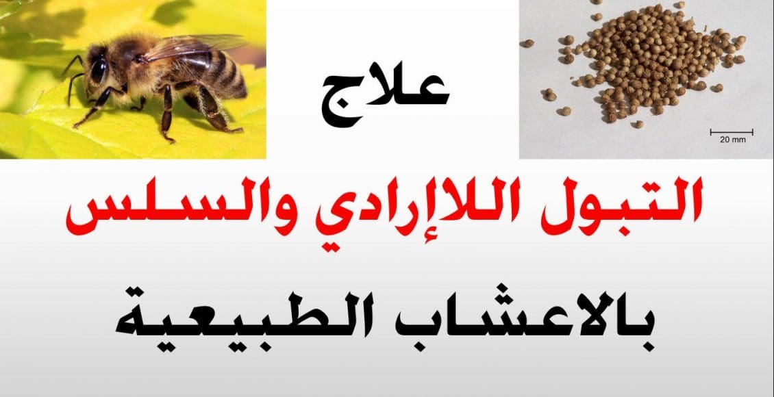 علاج سلس البول بالأعشاب