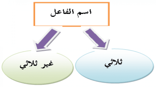 اسم الفاعل من الفعل الثلاثي