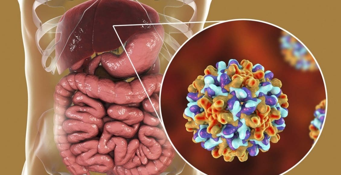 علاج التهاب الكبد ب بالأعشاب