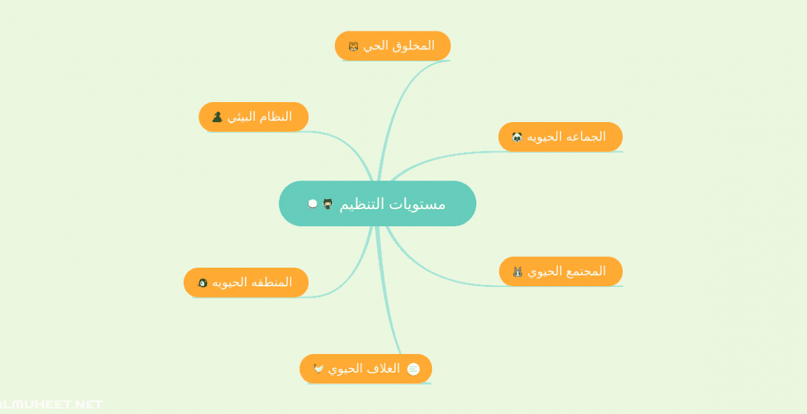 مستويات التنظيم في المخلوقات الحية