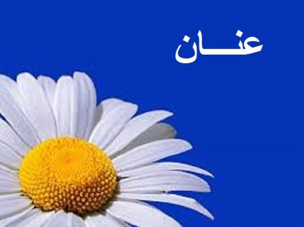 معنى اسم عنان