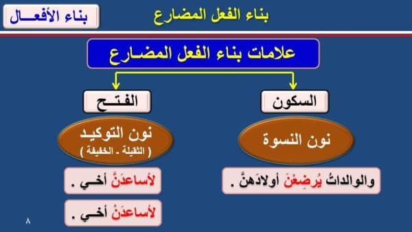 تدريبات على بناء الفعل المضارع