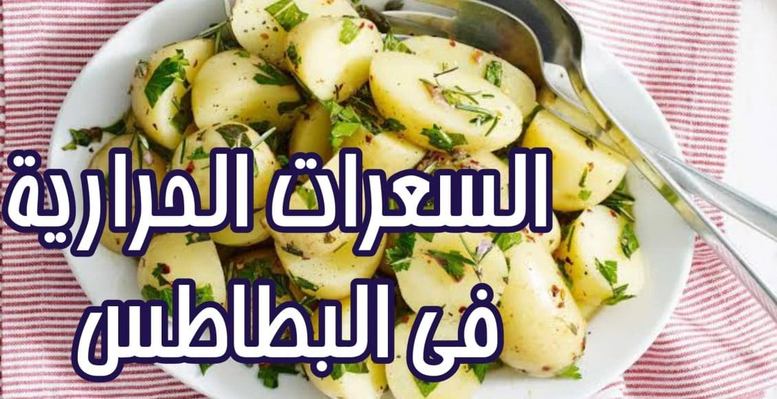 السعرات الحرارية في البطاطس المقلية