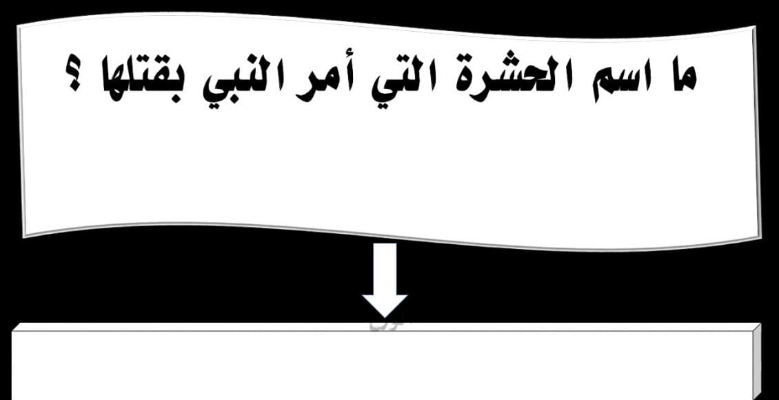 ماهي الحشرة التي أمر النبي بقتلها ولماذا؟