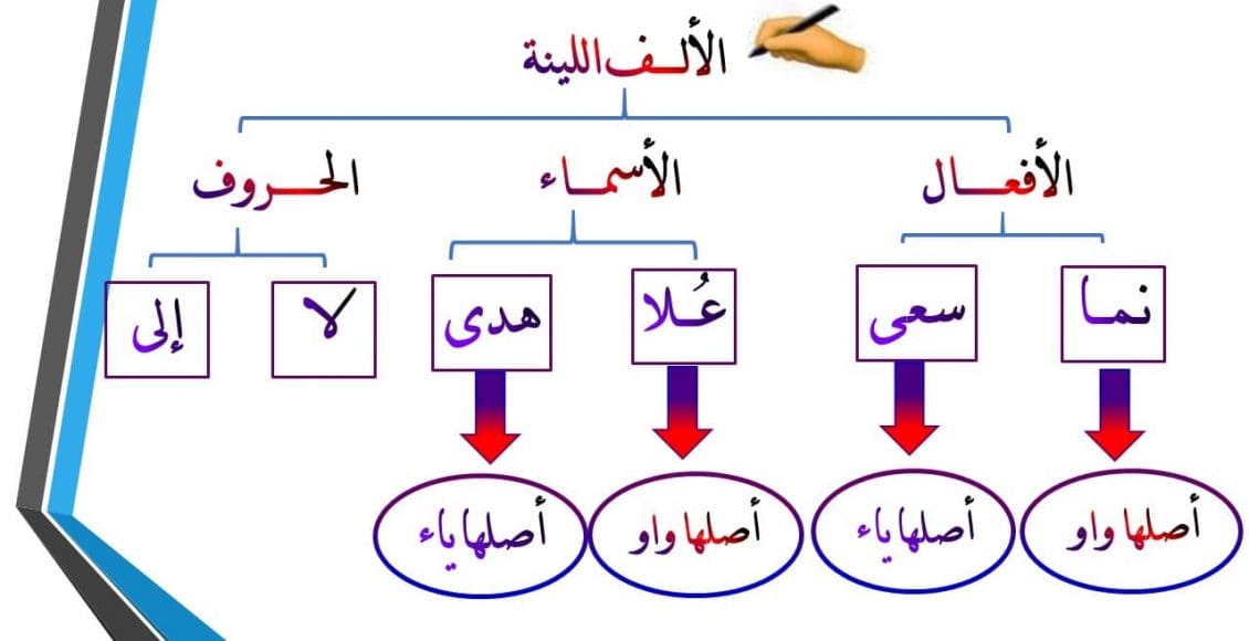 أمثلة على الألف اللينة في الأفعال غير الثلاثية