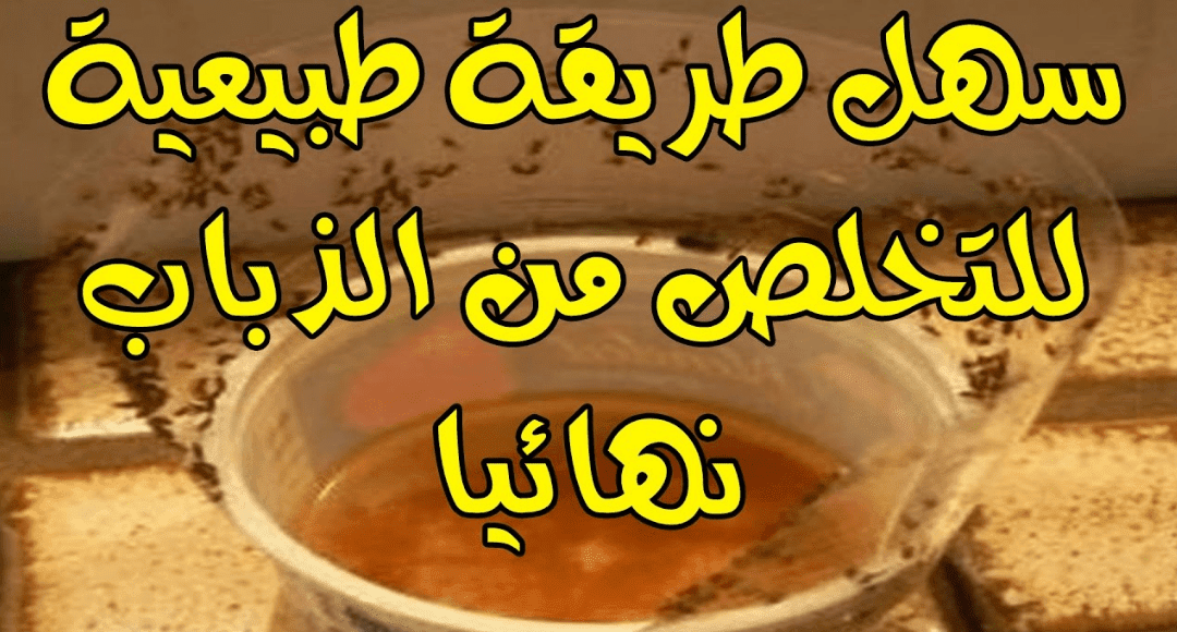 أفضل طرق طرد الذباب من المنزل نهائيًا