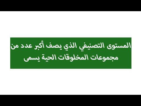 المستوى التصنيفي الذي يصف أكبر عدد من مجموعات المخلوقات الحية يسمى