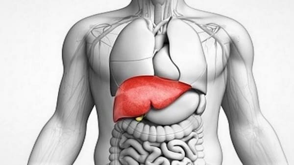 علاج ارتفاع البيليروبين المباشر عند الكبار