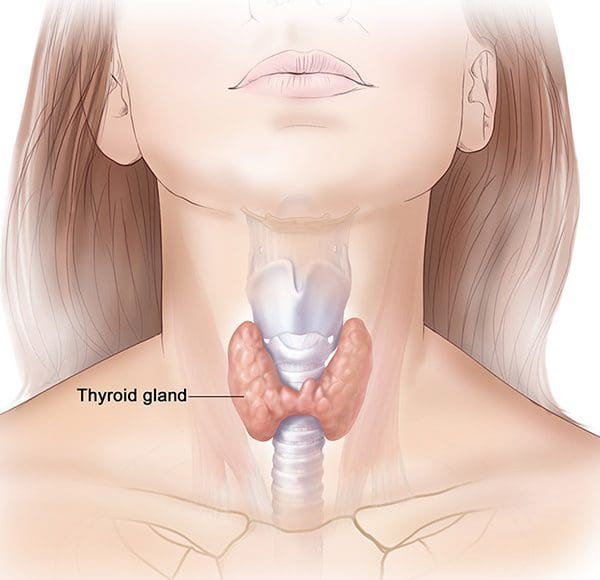 أعراض الغدة الدرقية عند النساء وعلاجها