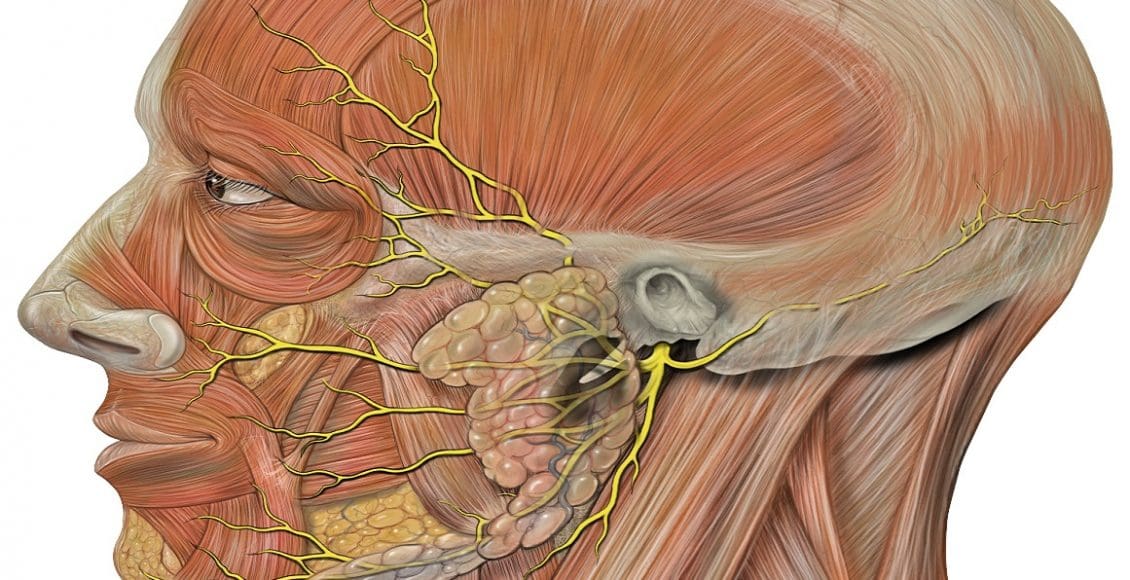 أسباب تأخر شفاء التهاب العصب السابع