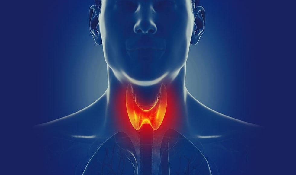 هل يتحول الورم الحميد إلى خبيث في الغدة الدرقية