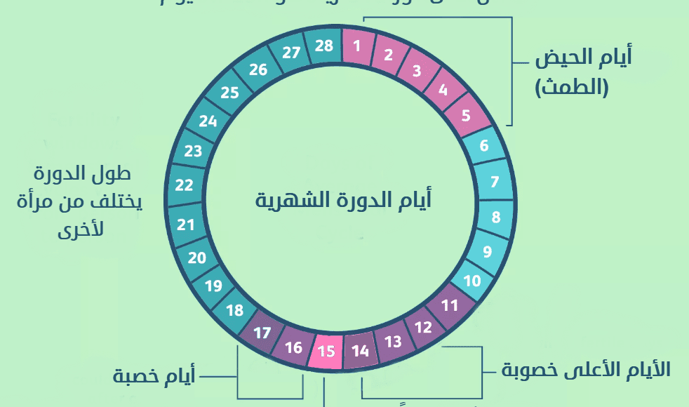 الأيام التي يحدث فيها الحمل