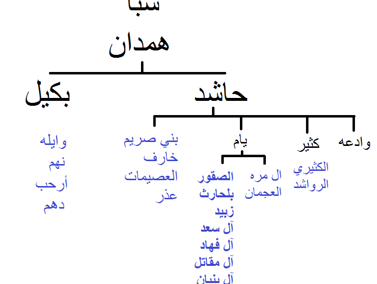 قبيلة الصيعري وش يرجعون