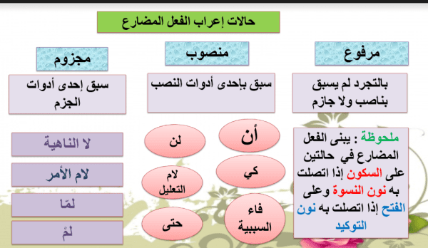 علامات إعراب الفعل المضارع