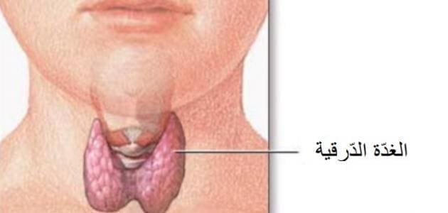 الفرق بين نشاط وخمول الغدة الدرقية