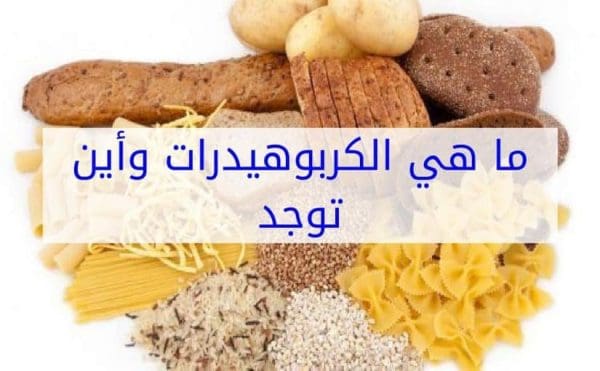 أين توجد النشويات والكربوهيدرات