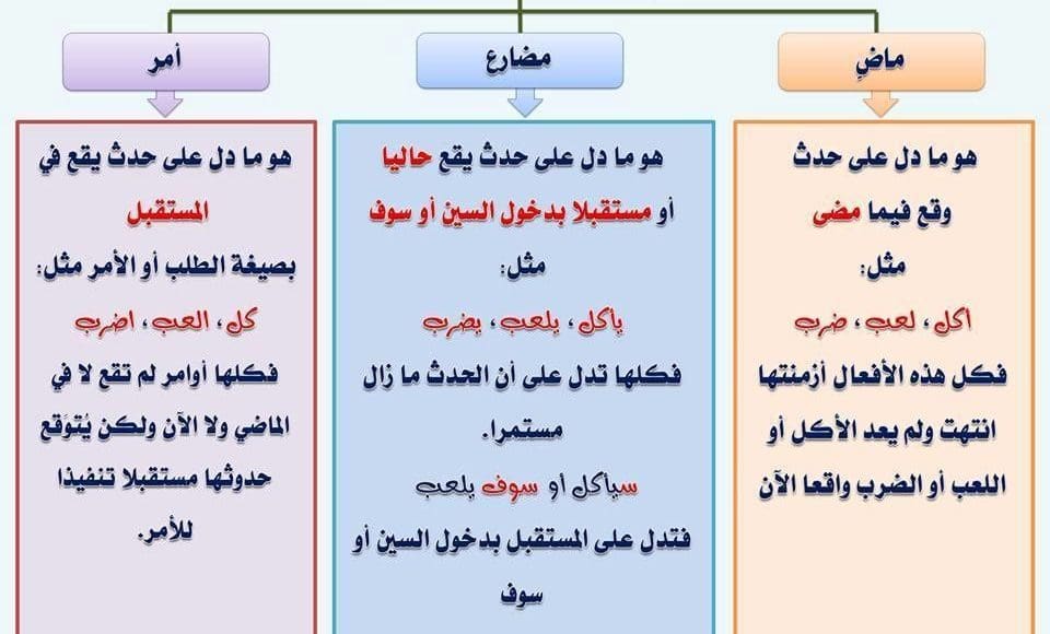 تدريبات على الفعل الماضي والمضارع والأمر