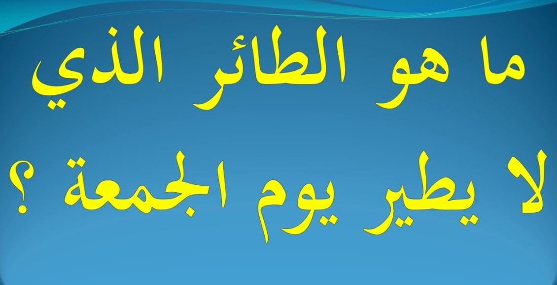 ما هو الطائر الذي لا يطير يوم الجمعة