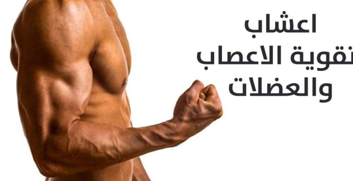 أقوى خلطة أعشاب لتقوية الأعصاب