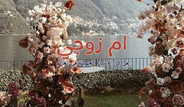 عبارات عن حماتي الغالية