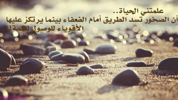 اجمل الصور المعبرة عن الحياة