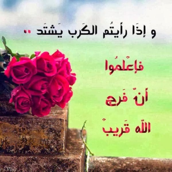 اجمل الصور المعبرة عن الحياة