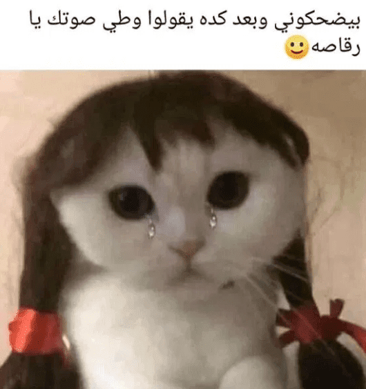 بوستات مضحكة عن الأصدقاء     