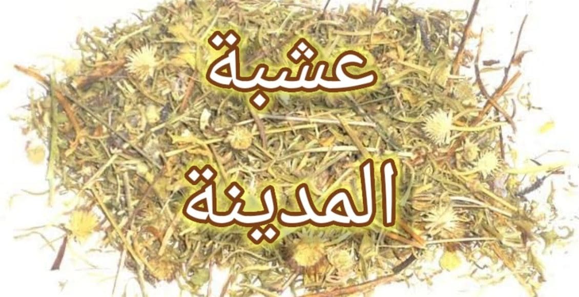 هل عشبة المدينة تسقط الجنين الحي